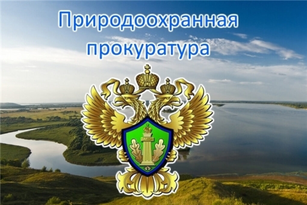 В Ульяновской области природоохранной прокуратурой выявлены нарушения законодательства об ответственном обращении с животными..