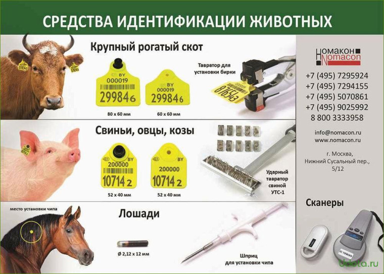 Ветеринарная клиника информирует. Ветеринарная клиника информирует.